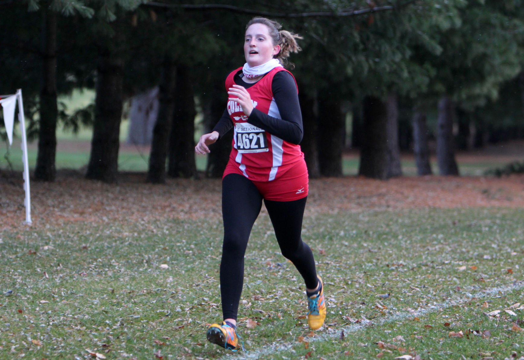 Division 3 Cross Country Sub-Sectional at Colfax 10-19-20